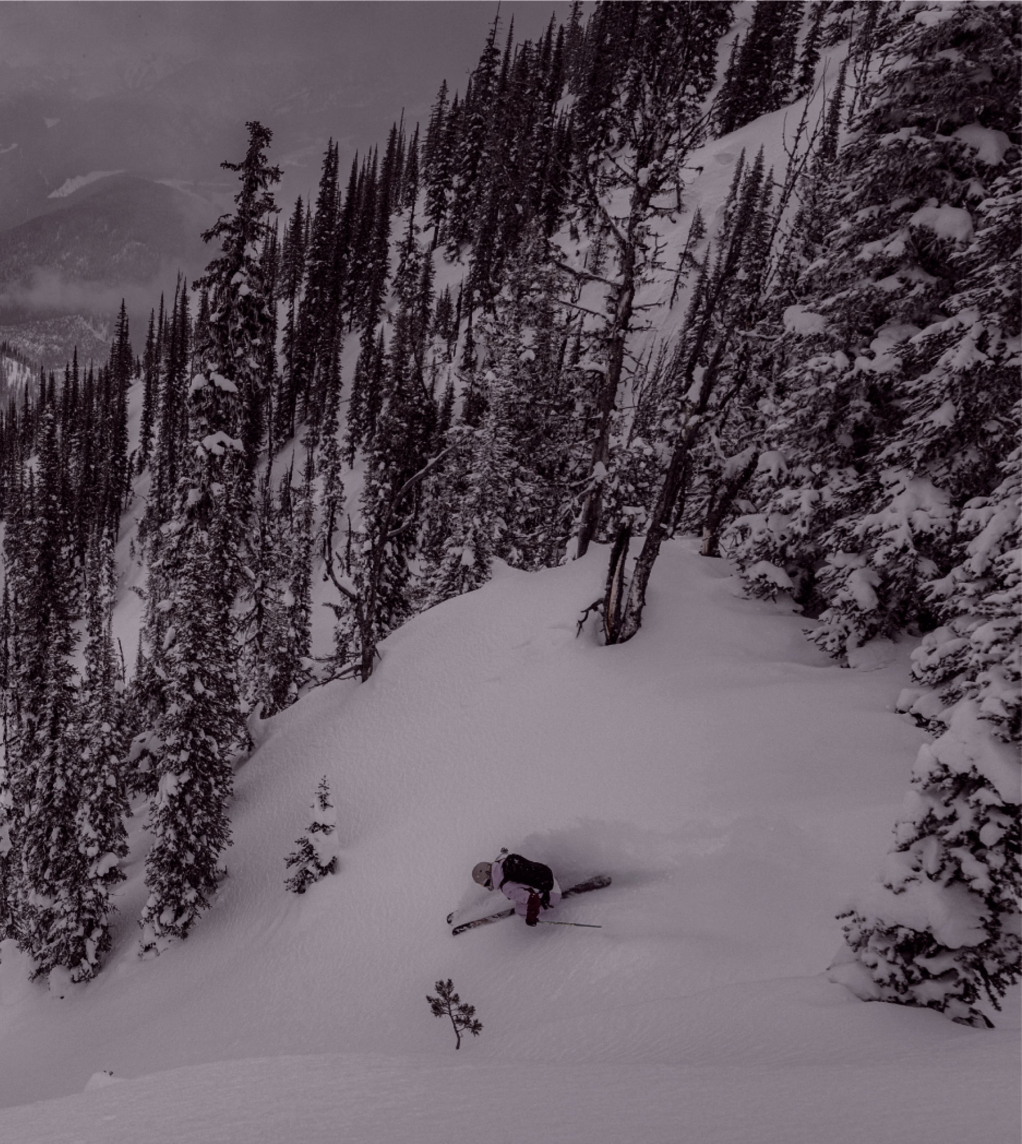 Anon Merak WaveCel® Ski & Snowboard Helmet – Anonoptics