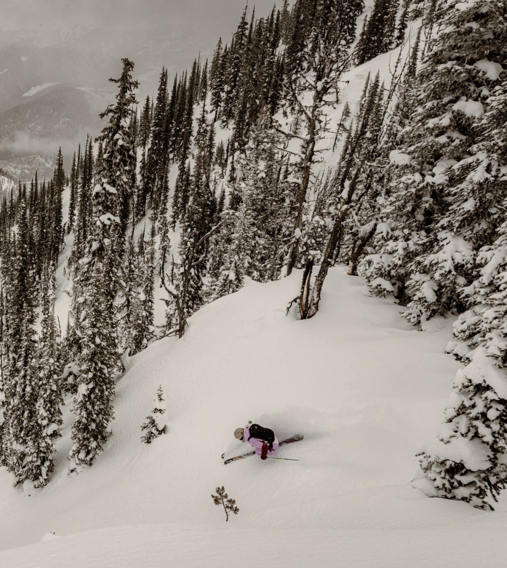 Anon Merak WaveCel® Ski & Snowboard Helmet | Anon Optics Winter